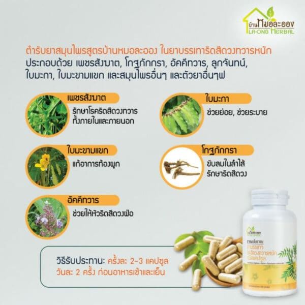 Erning reproduktiv organi Ujkst yigitlar video seks ikki qiz